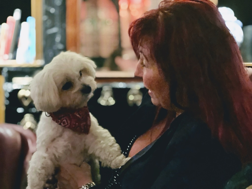 Bild på lilla hunden Teddy.